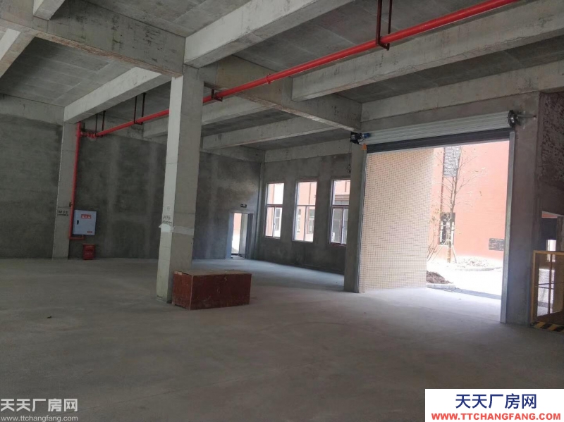 兩江新區 高新技術產業園 實用標準廠房 1000㎡起