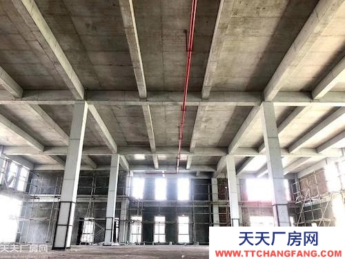 兩江水土園區(qū)800-5000㎡獨棟廠房租售