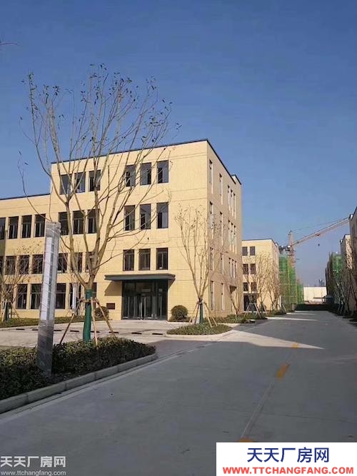 標準廠房 可租可售 支持按揭分期 配套成熟