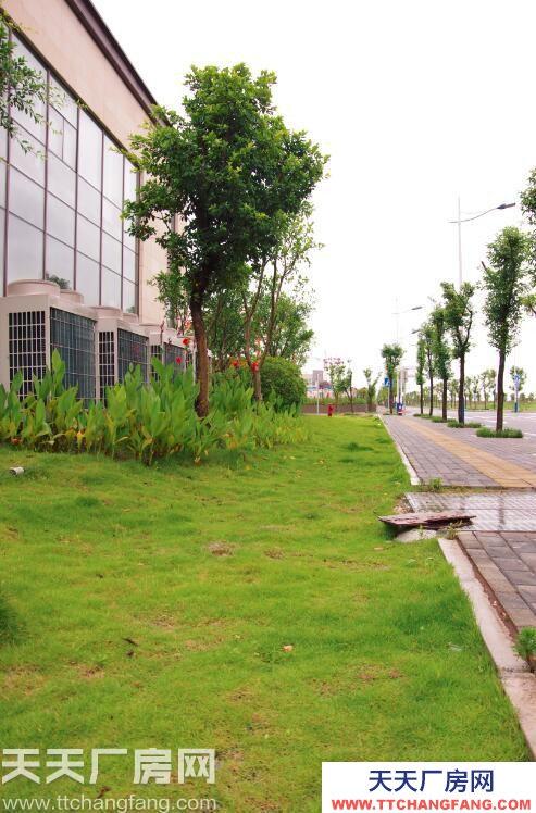 歇馬周邊獨棟標準廠房租售可過環評交通便利