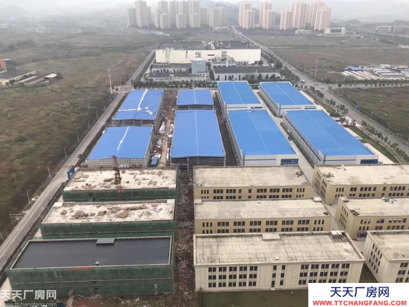 兩江新區500~5000m2獨棟標準廠房可租可售可定制