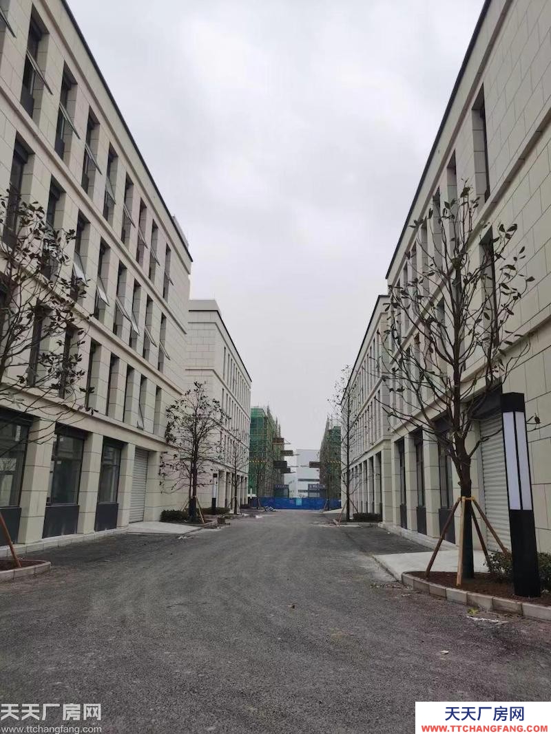 前沿科技城50年產權廠房，600平到5000平，可按揭