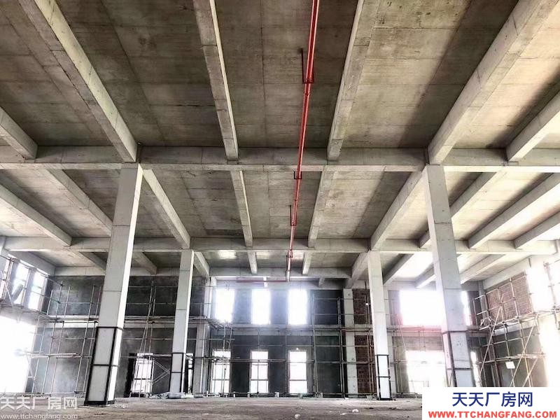 前沿科技城50年產權廠房，600平到5000平，可按揭