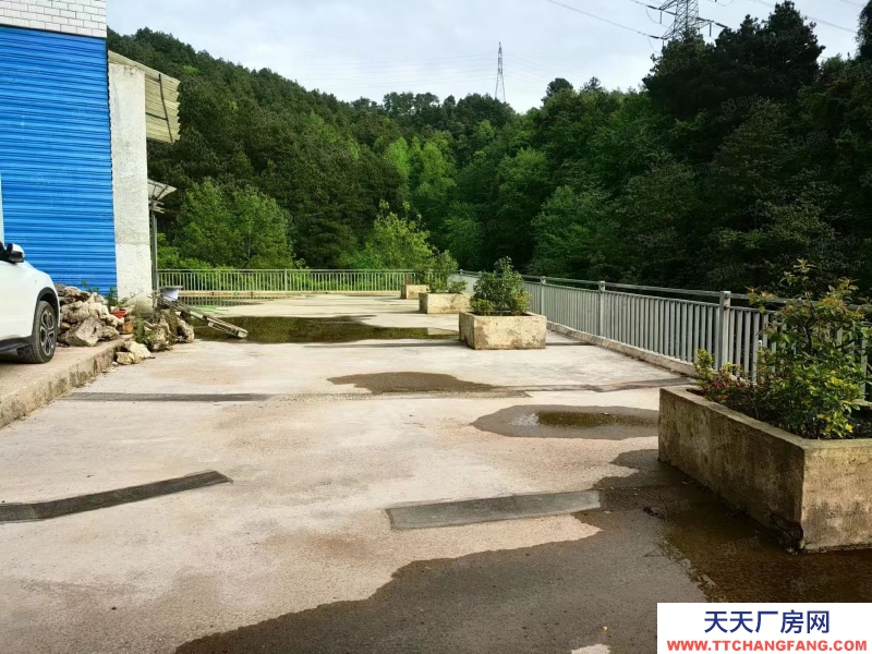 云巖區鹽沙大道600平廠房出租