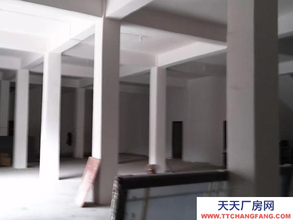 (出租) 適合貨物儲(chǔ)存堆放,加工作坊,