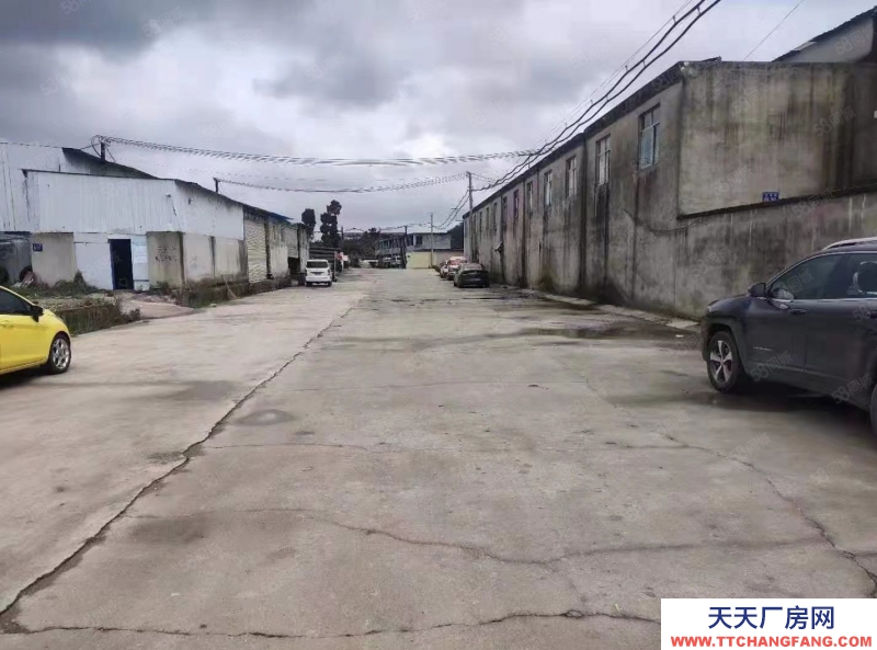 (出租) 白云區20000平廠房和40畝空壩出租