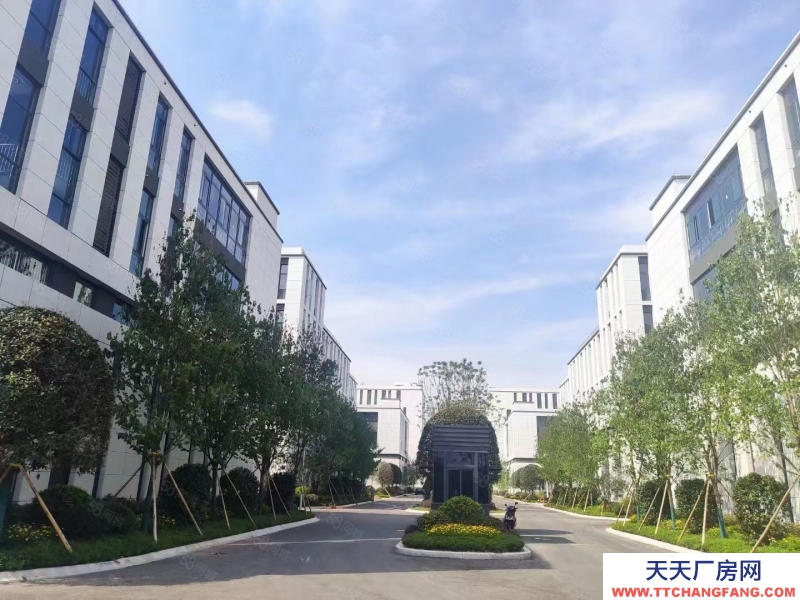 (出租) 南明標準結構廠房 (首層8.1米)小900