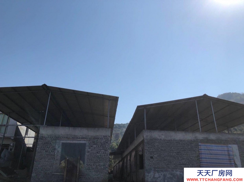 本廠房低價(jià)出售，三相電齊全，可用作養(yǎng)殖或加工