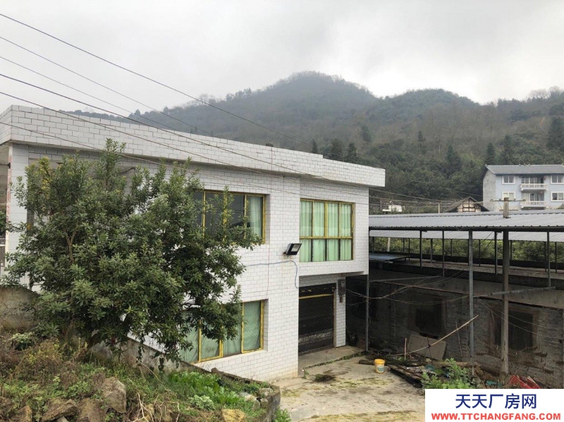 本廠房低價(jià)出售，三相電齊全，可用作養(yǎng)殖或加工