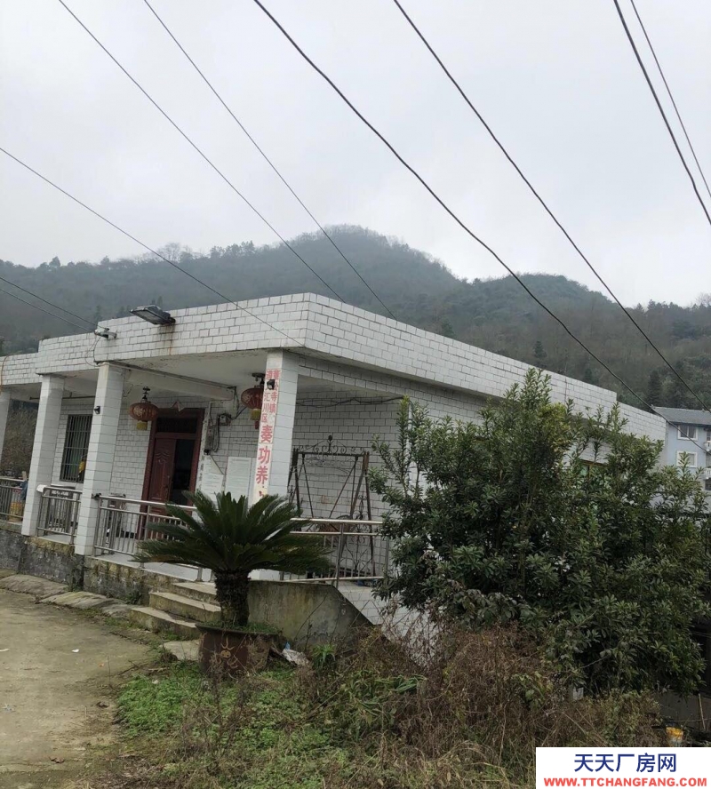 本廠房低價(jià)出售，三相電齊全，可用作養(yǎng)殖或加工