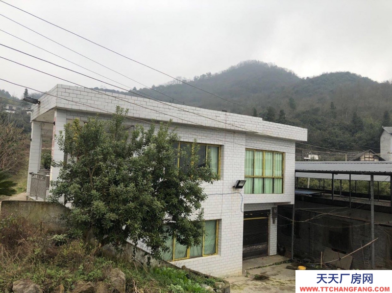 本廠房低價(jià)出售，三相電齊全，可用作養(yǎng)殖或加工