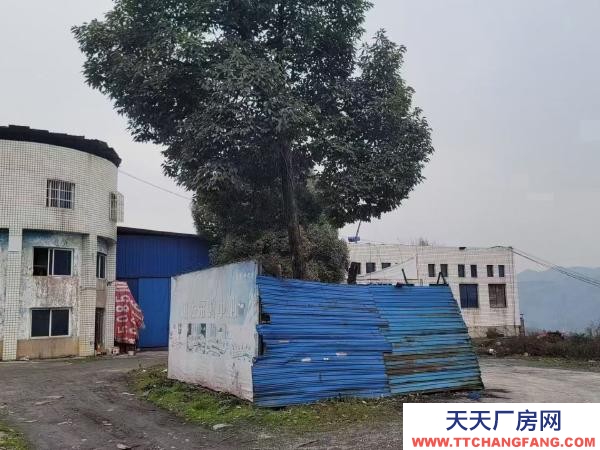 (出售) 大型廠(chǎng)房5000平米含26畝工業(yè)土地可改商