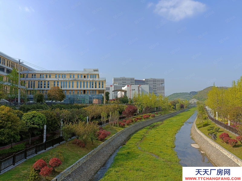 (出售) 可津森陽產業園花園式廠房,專為中小企業私人訂制,濃濃家的感覺