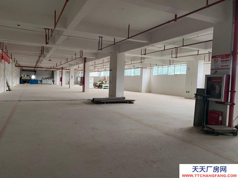(出租) 可做生產廠房配置專業用電，也可做倉儲。