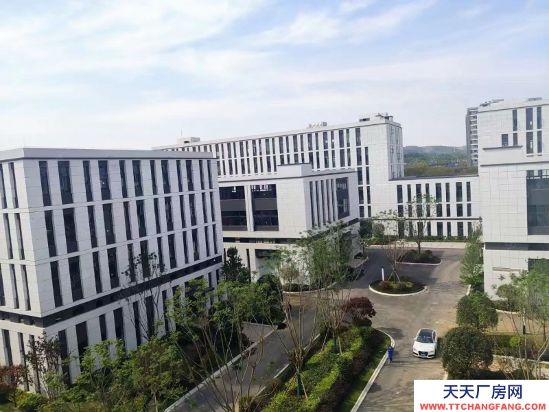 (出售) 南明標(biāo)準(zhǔn)結(jié)構(gòu)廠房 （首層8.1米）面積9004000