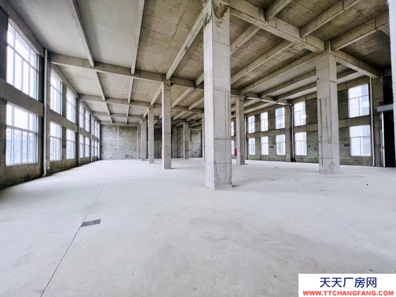 (出售) （首層8.1米）開盤特惠 價格優惠 小1000 可按揭