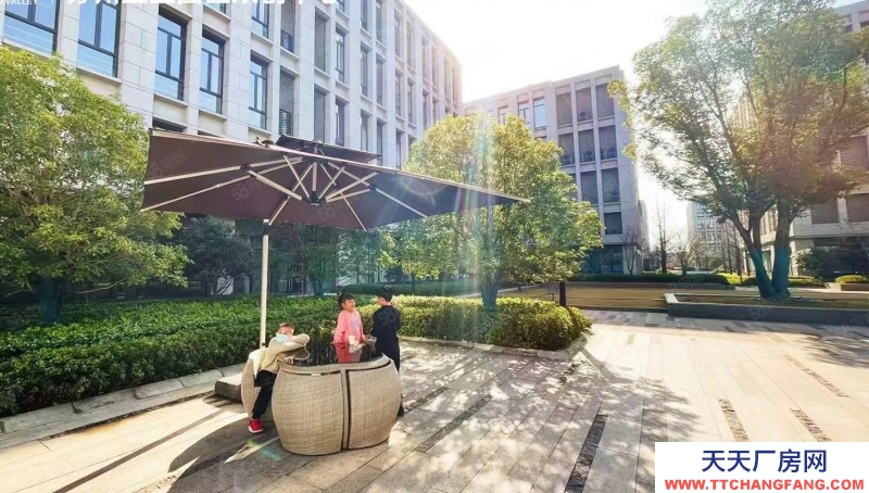 (出售) （首層8.1米）開盤特惠 價格優惠 小1000 可按揭