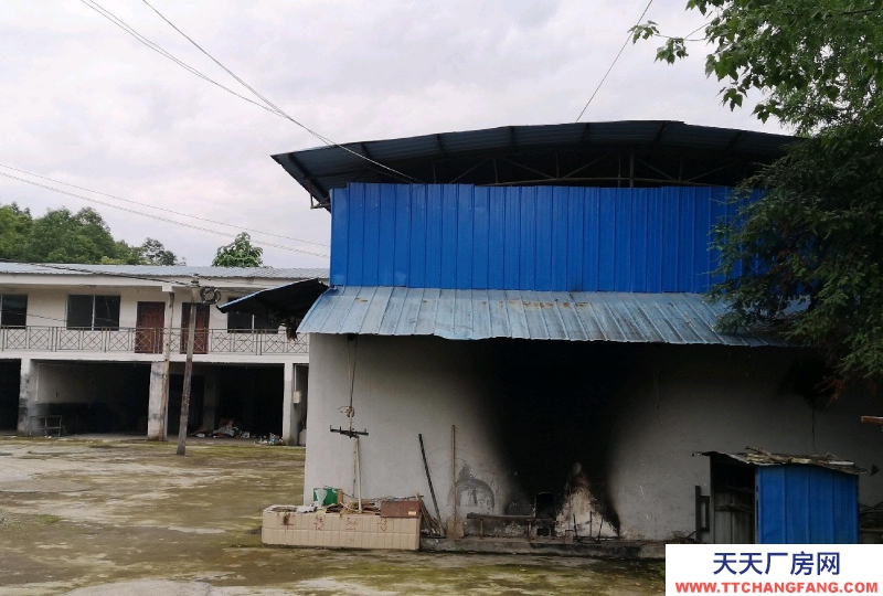 (出售) 自己的廠房要出售出租，價格實惠，可辦公可做廠房，可租可出售