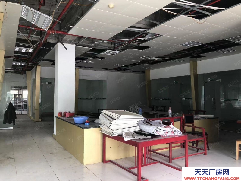 (出售) 云巖區(qū) （沙河村）廠房出售 廠房出售 1200平330萬出售