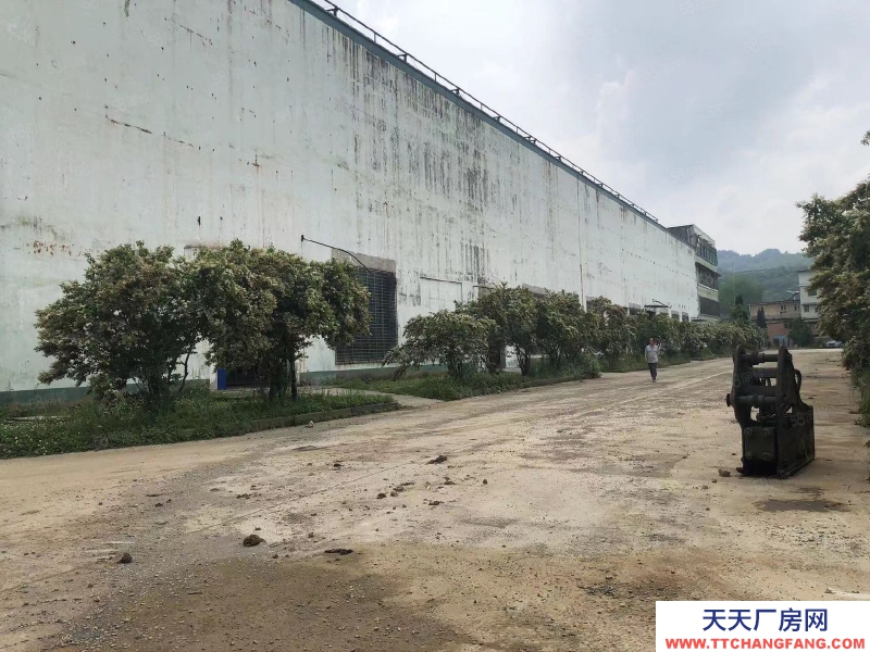 (出售) 云巖區(qū) （沙河村）廠房出售 廠房出售 1200平330萬出售