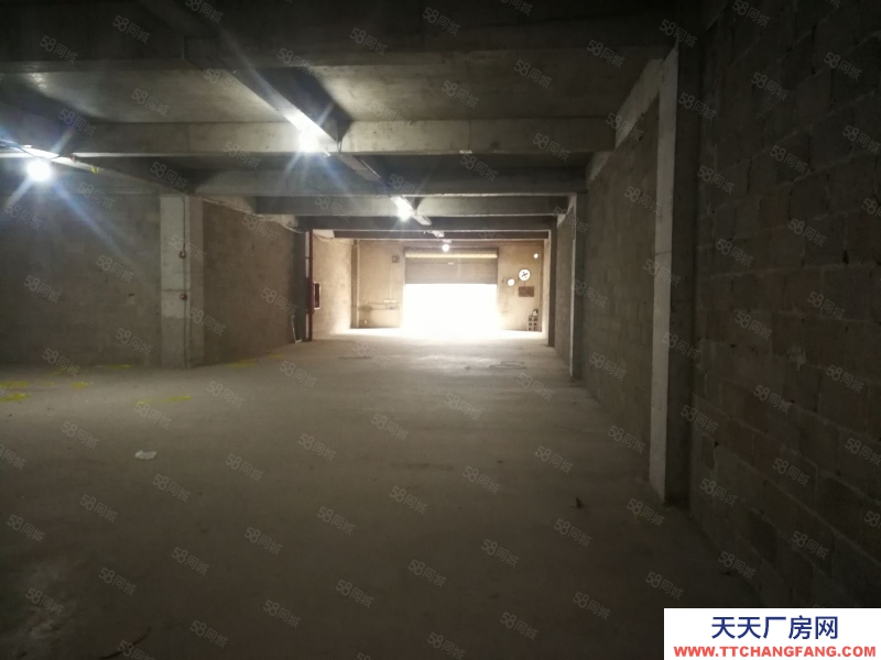 (出租) 數博大道旁金伍路65號一樓540平，420平.370平招租