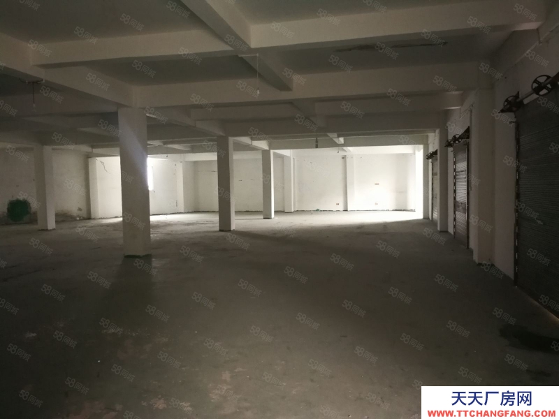 (出租) 數博大道旁金伍路65號一樓540平，420平.370平招租