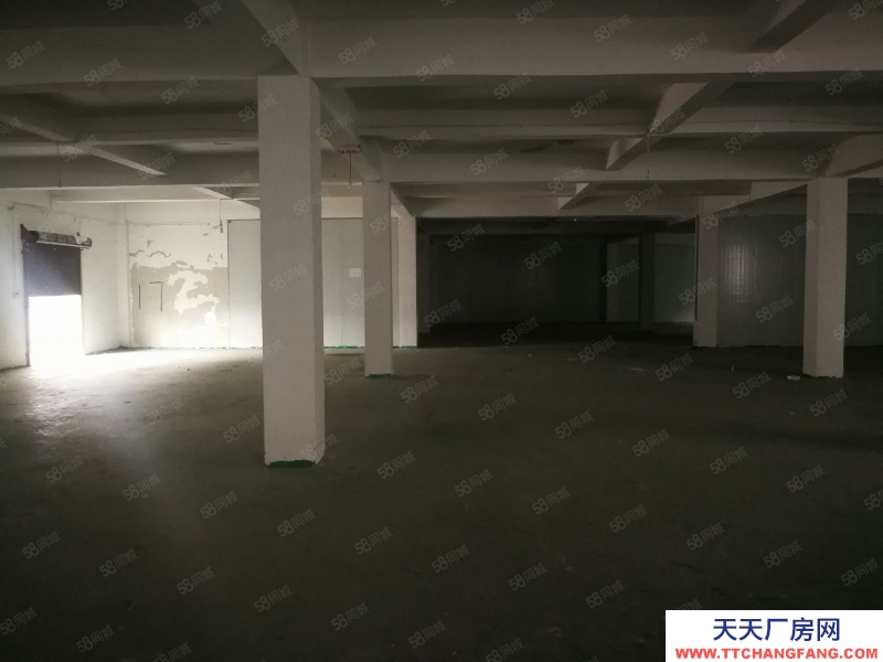 (出租) 數博大道旁金伍路65號一樓540平，420平.370平招租