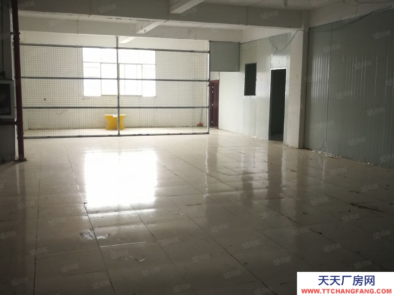 (出租) 數博大道旁金伍路65號一樓540平，420平.370平招租