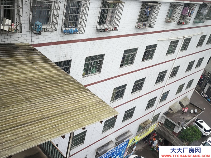 (出租) 數博大道旁金伍路65號一樓540平，420平.370平招租