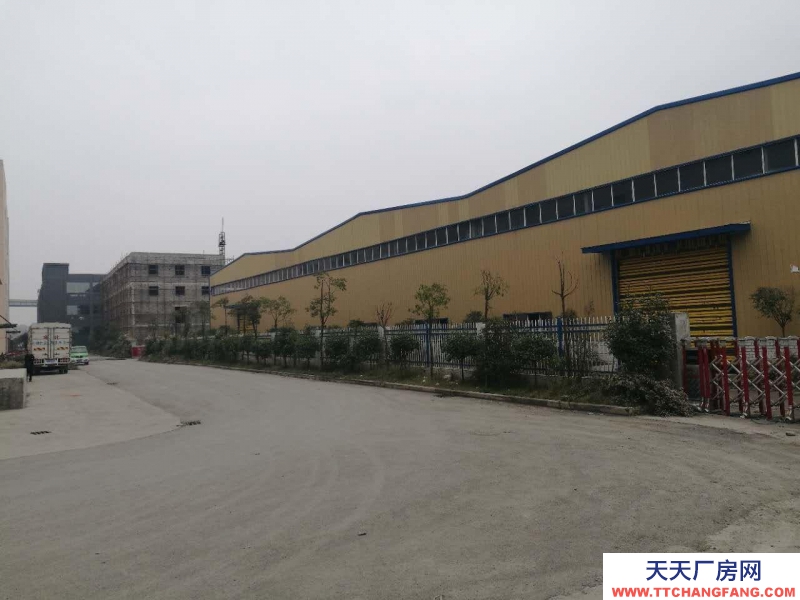 (出租) 和平大道850平方鋼架結構倉庫