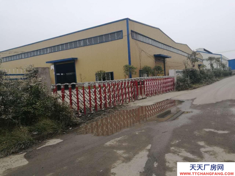 (出租) 和平大道850平方鋼架結構倉庫