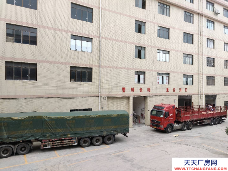 (出租) 云巖金關數博大道旁一樓1000平300平價格面談