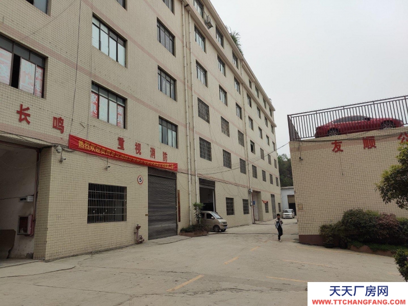 (出租) 云巖金關數博大道旁一樓1000平300平價格面談