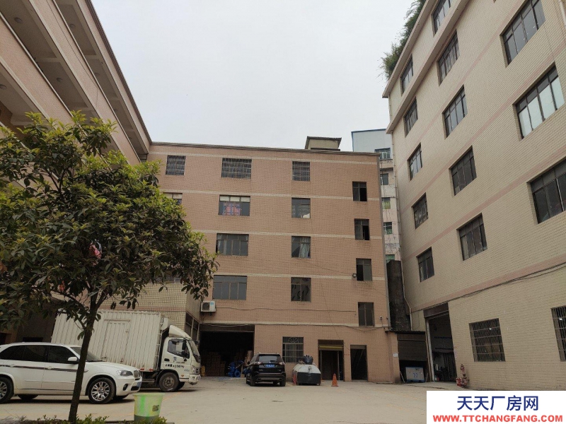 (出租) 云巖金關數博大道旁一樓1000平300平價格面談