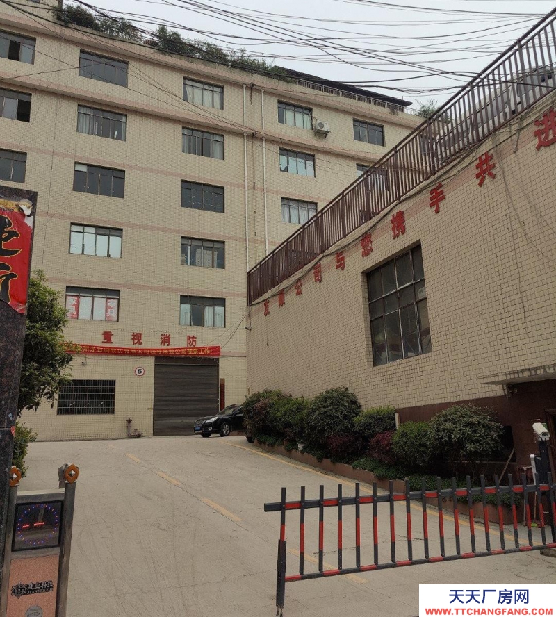 (出租) 云巖金關數博大道旁一樓1000平300平價格面談