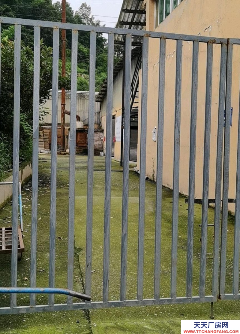 (出租) 中介勿擾，誠心的租金可細說