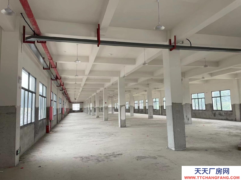 (出租) 食品工業園區，房東直租，無中介。