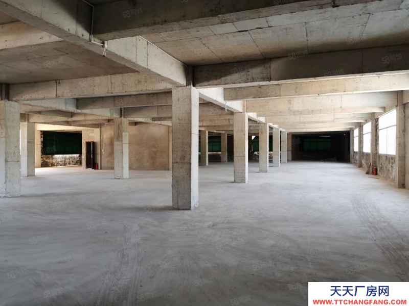 (出租) 出租云巖區 金關電商產業園旁倉庫