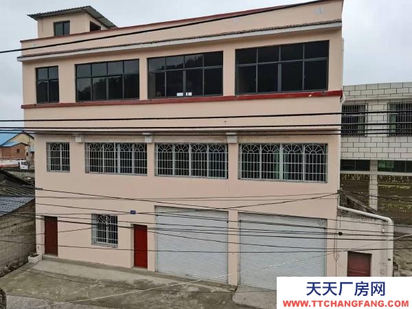 (出租) 出租三層整體招租