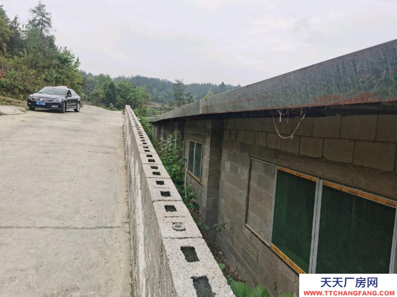 (出租) 養(yǎng)豬場(chǎng)出租，水電齊全，自己的養(yǎng)豬場(chǎng)，帶有120平米住房