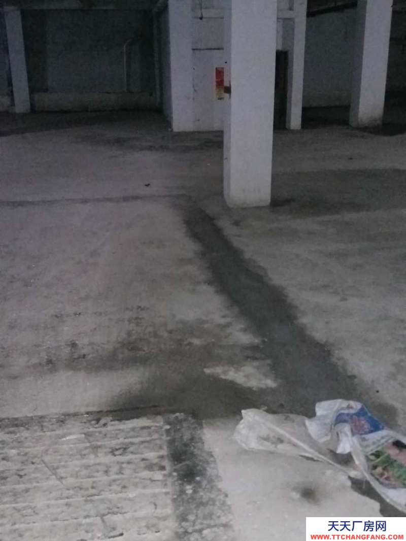 出租匯川大連路長(zhǎng)大立交橋旁地下室