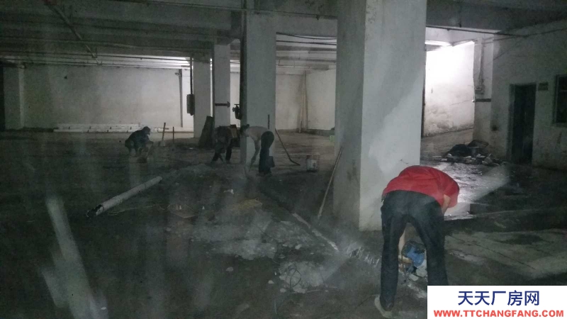 出租匯川大連路長(zhǎng)大立交橋旁地下室