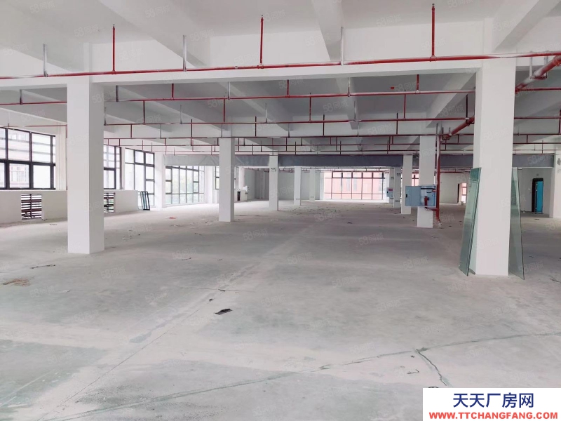 (出售) 白菜價 修文獨棟1500平米廠房出售先到先得