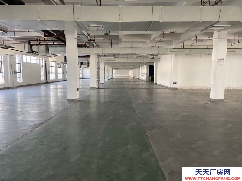 (出租) 汽博中心三亞灣附近2000庫房出租