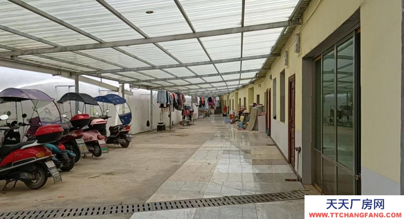 (出租) 修文扎佐鎮(zhèn)林業(yè)學(xué)校對面100米