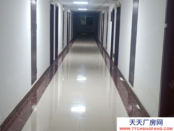 一層鋼構廠房，進出車輛方便，可生產可倉儲