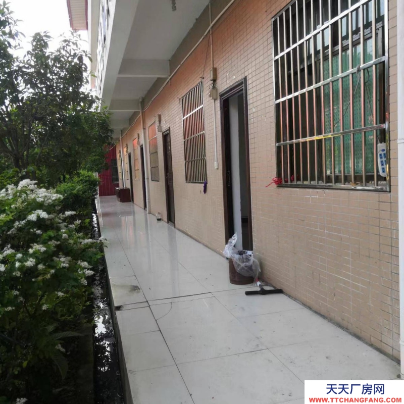 (出租) 出租關嶺關嶺城區倉儲倉庫