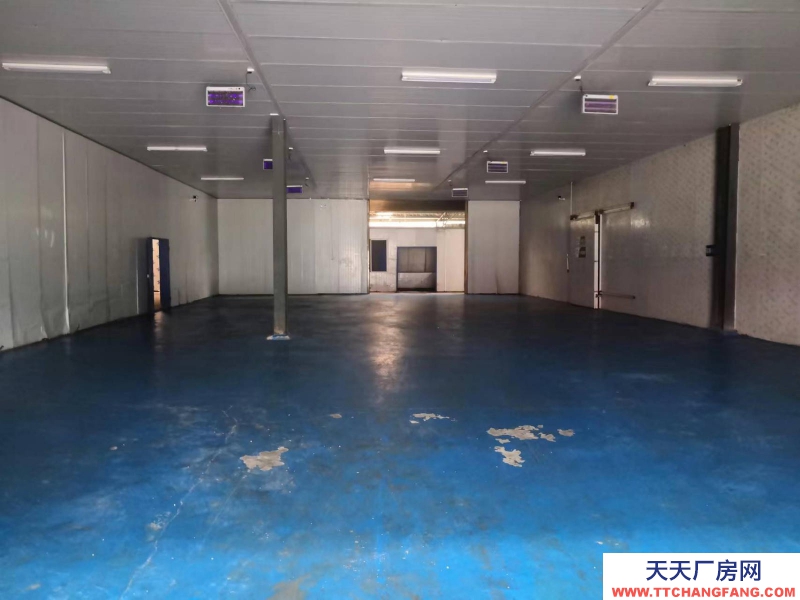 (出租) 出租關嶺關嶺城區倉儲倉庫