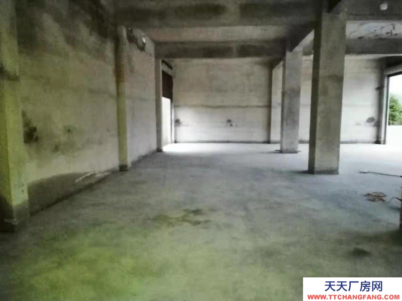 (出租) 修文三層整棟出租一層廠庫二三層人全部裝修完善