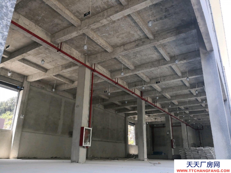 (出租) 位于深溪綠色食品產(chǎn)業(yè)園